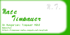 mate timpauer business card