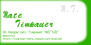 mate timpauer business card